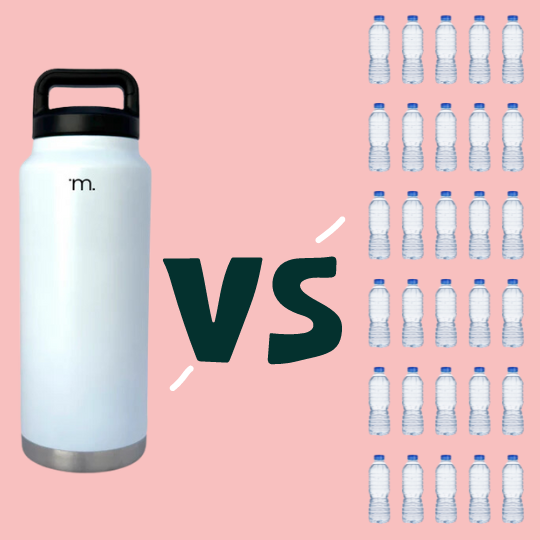 Termo vs Botellas de Agua