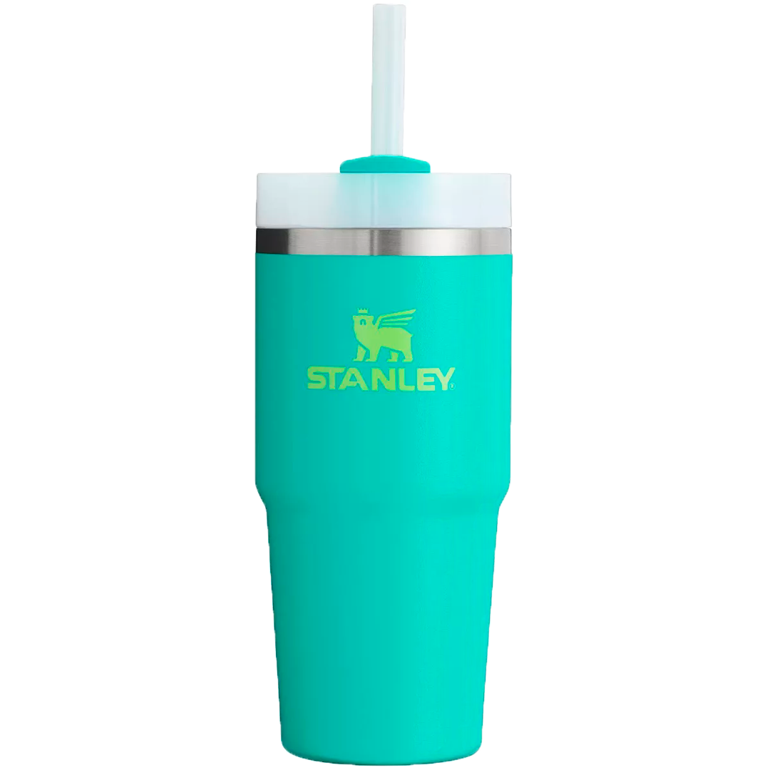 Stanley Tumbler | 20 OZ